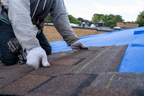 Best Metal Roofing Contractor  in St Croix Falls, WI